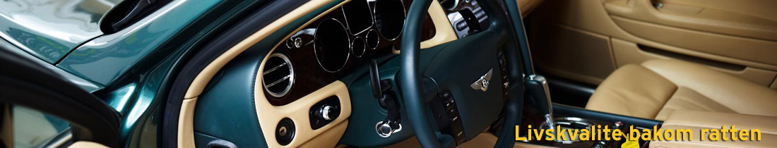 Välkommen till Tuning Chip - Trimchip till dom flesta bilmodeller på marknaden. Vi chiptrimmar din bil.